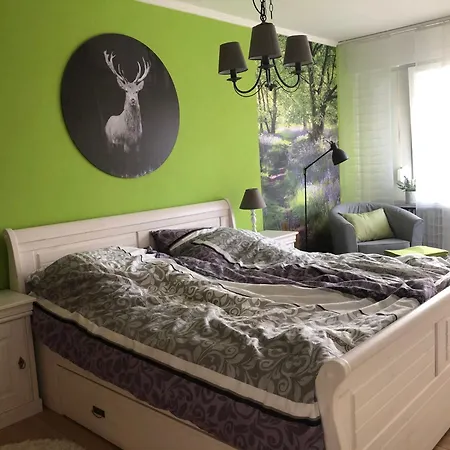 Apartment Gaishoellpark Sasbachwalden